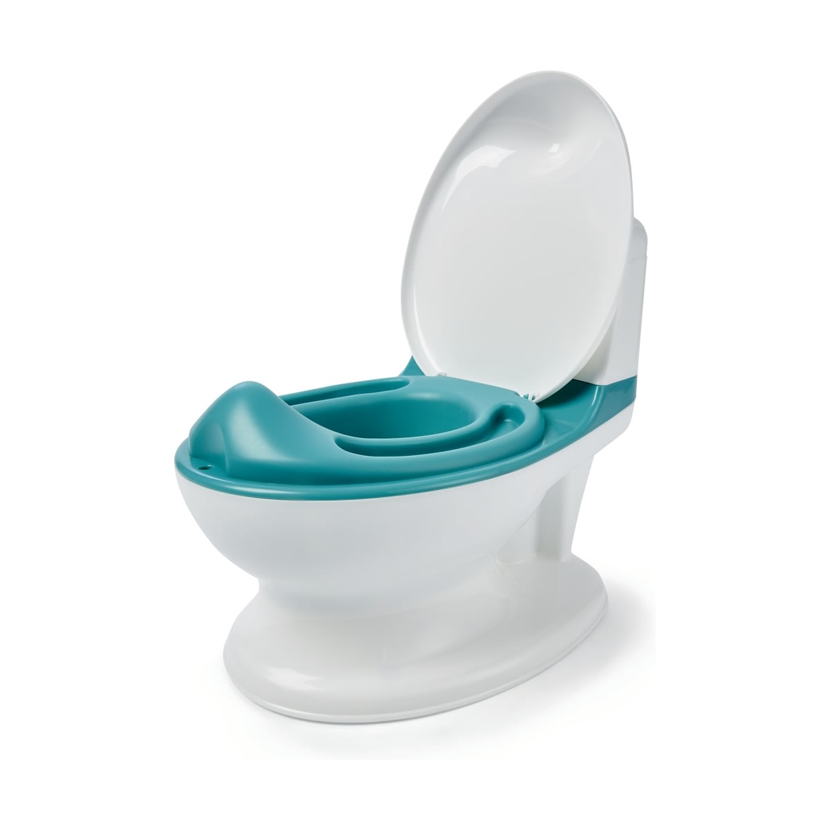 Toilet Potty