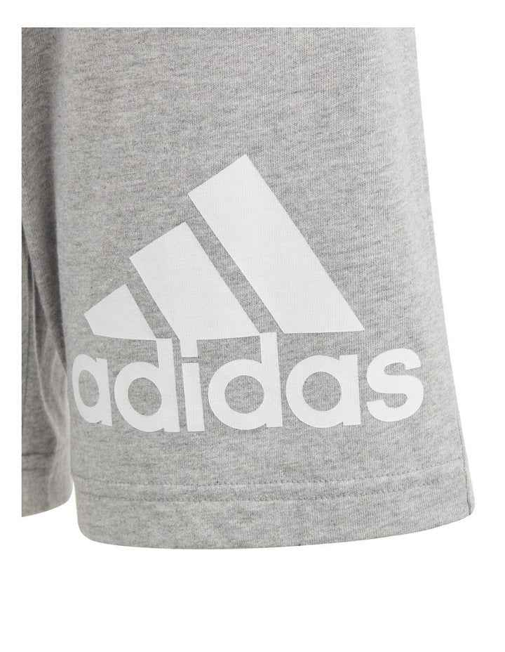 Big Logo Cotton Shorts in Medium Grey Heather