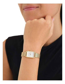 Octagon XS Stainless Steel OWGMG-O73 Watch in Gold