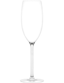 Vintage 2 Piece Sparkling Wine Glass Set in Clear