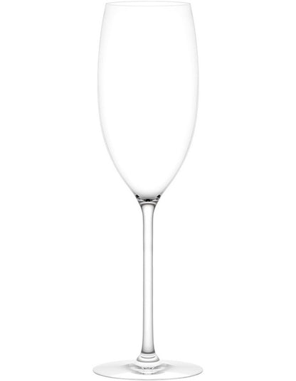 Vintage 2 Piece Sparkling Wine Glass Set in Clear