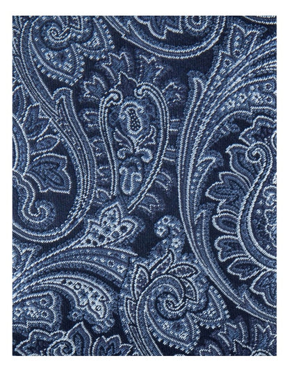 Paisley Poly Tie in Navy