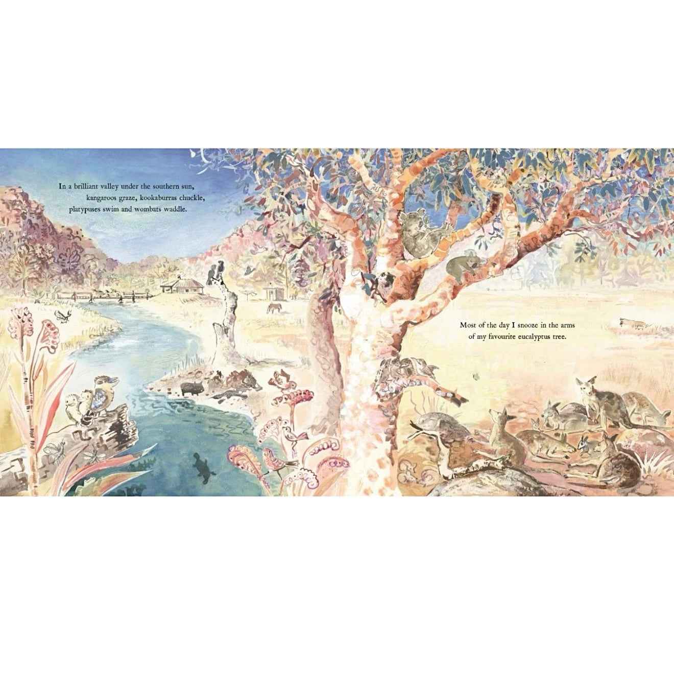 Hand to Hand Bushfire (Hardcover) by Liz Anelli Australian Animals Story Book