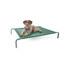 Pet Bed Elevated - Large