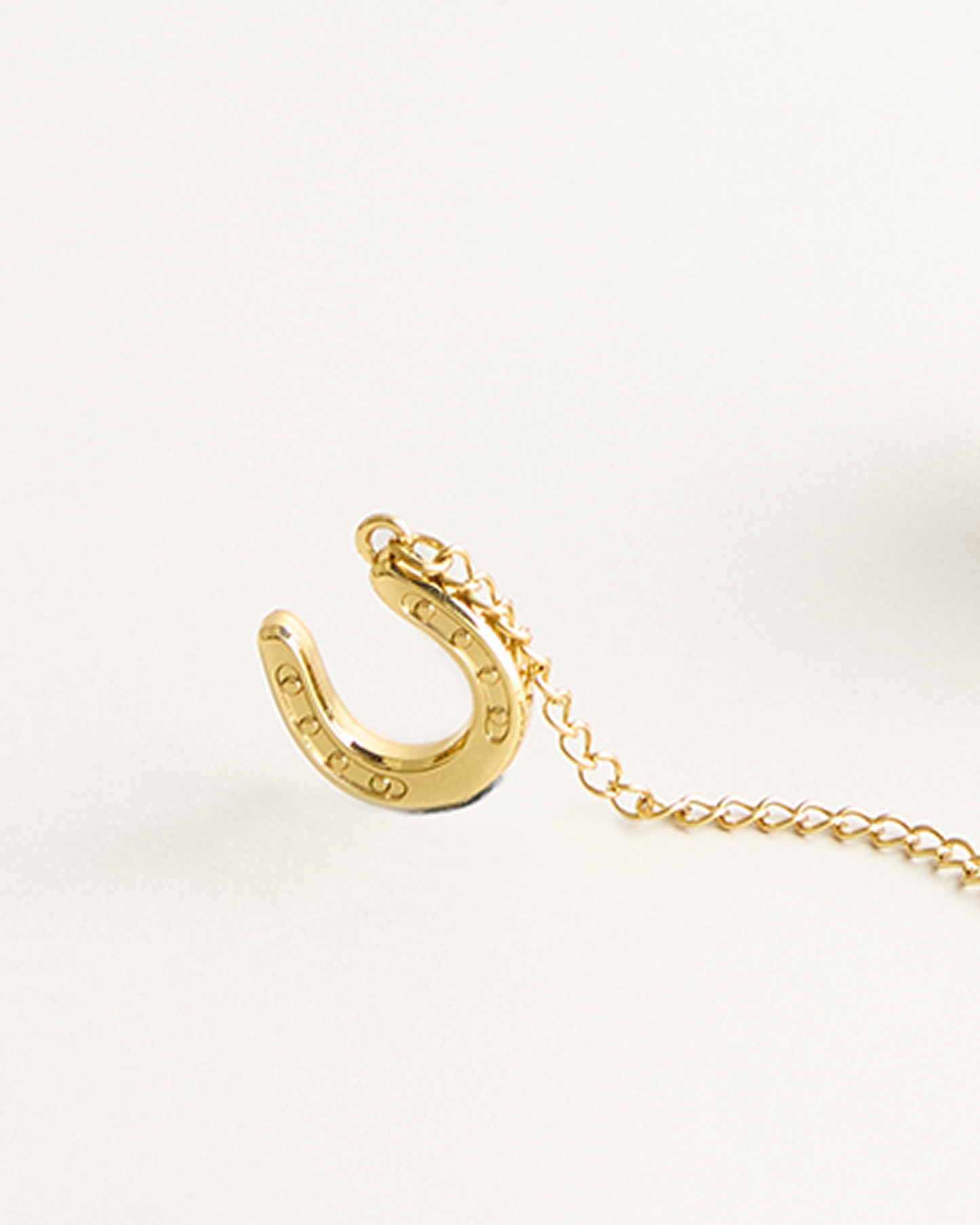 Fun Infuser Gold Horseshoe