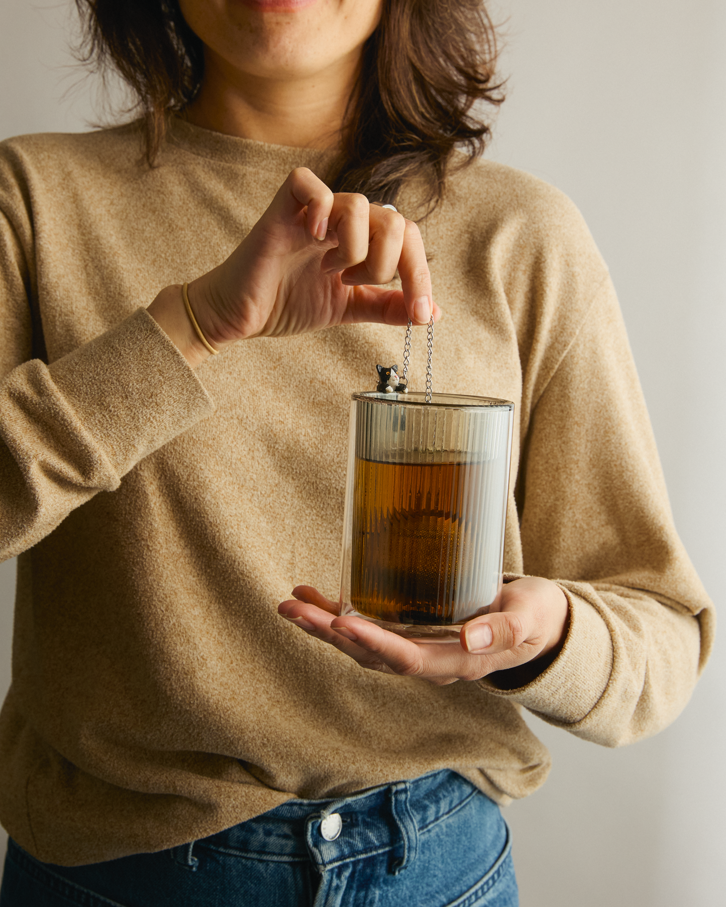 Fun Infuser Rupert Cat