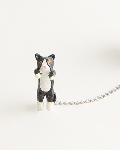 Fun Infuser Rupert Cat