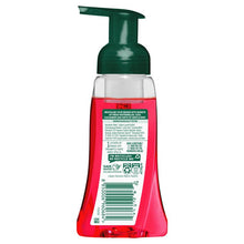 Palmolive Antibacterial Foaming Hand Wash Watermelon 250ml