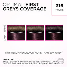 L'Oreal Paris Casting Creme Gloss Semi-Permanent Hair Colour - 316 Plum (Ammonia Free)