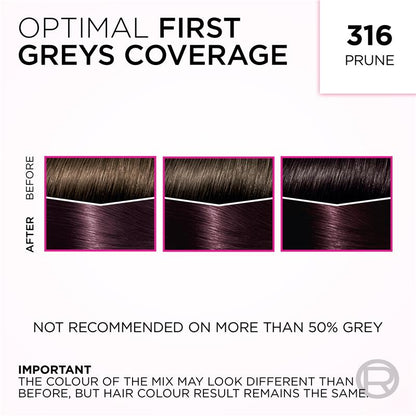 L'Oreal Paris Casting Creme Gloss Semi-Permanent Hair Colour - 316 Plum (Ammonia Free)