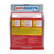 Pain Away Heat Patches Regular 10 Pack Exclusive