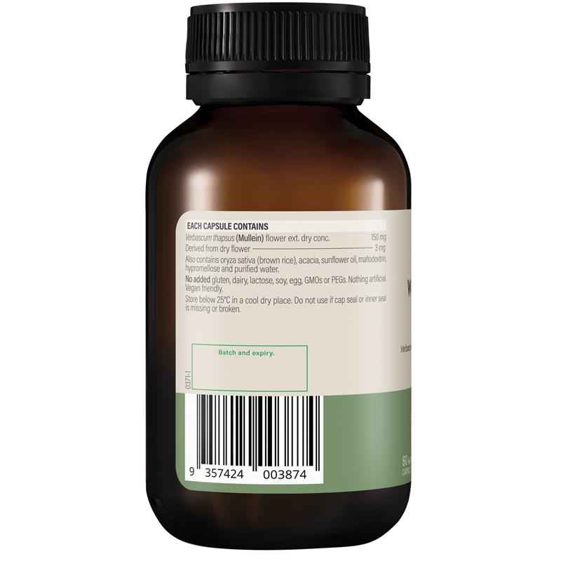 Wanderlust High Strength Mullein 60 Capsules