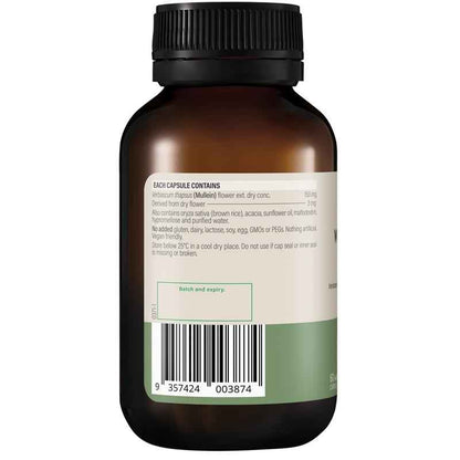 Wanderlust High Strength Mullein 60 Capsules