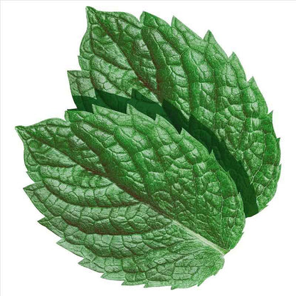 Wrigleys Extra Soft Chew Spearmint Bottle 67g