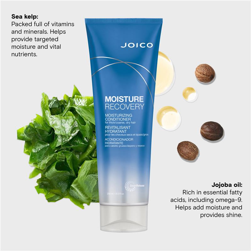 Joico Moisture Recovery Conditioner 250ml