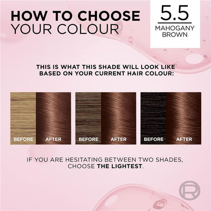 L'Oreal Excellence Creme 5.5 Mahogany Brown Hair Colour