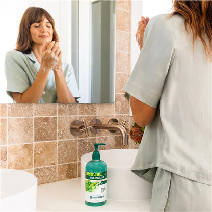 Palmolive Antibacterial Softwash Hand Wash Sea Minerals 500ml