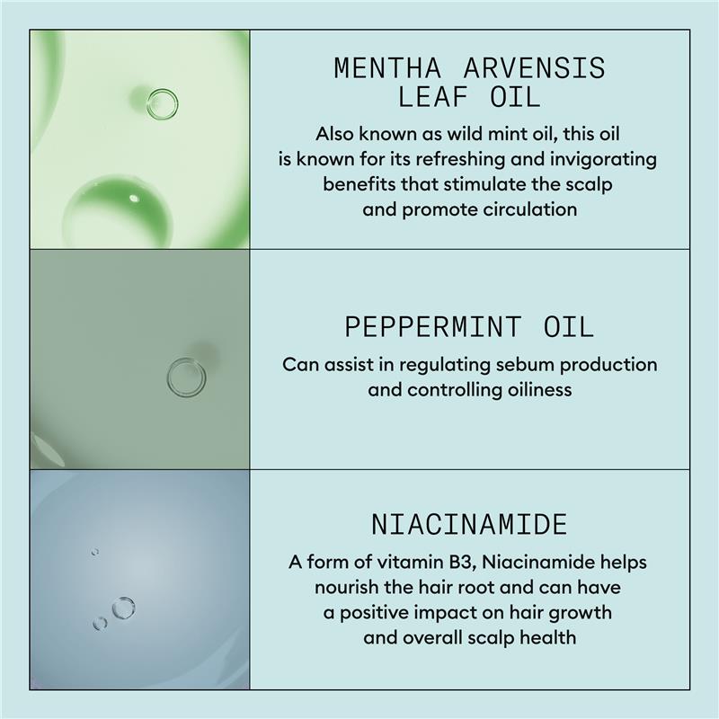Nioxin Scalp Recovery System Kit
