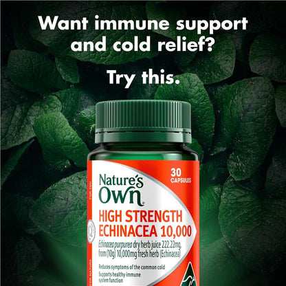 Nature's Own High Strength Echinacea 10,000mg 30 Capsules - GimmeNow