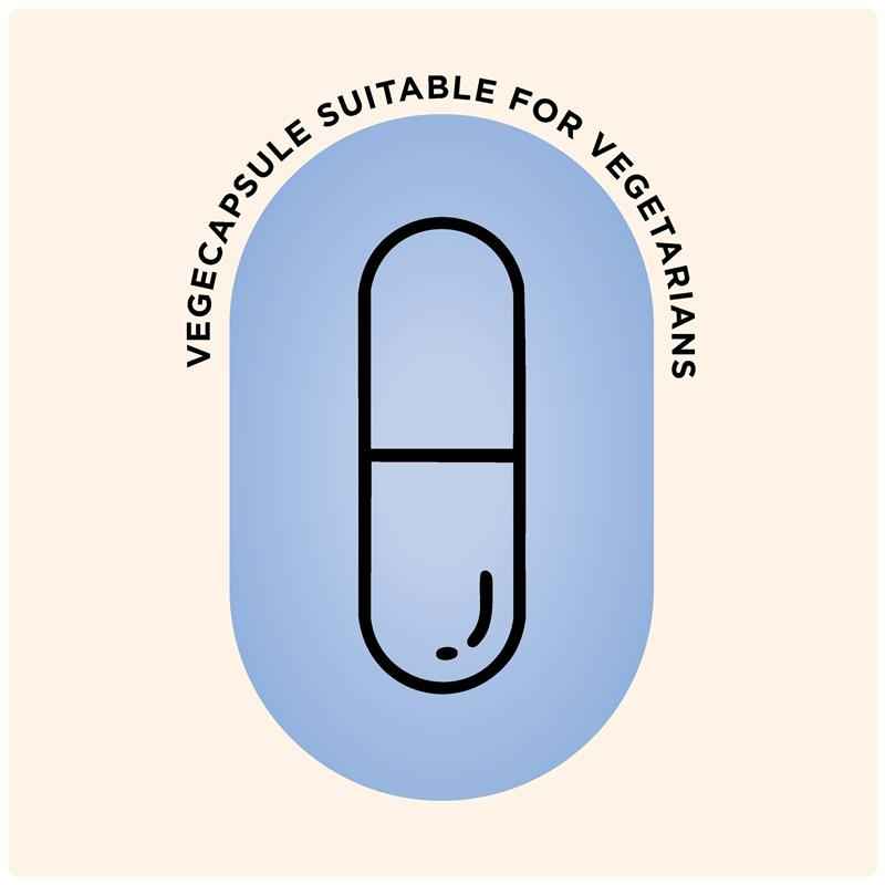 GO Healthy Ashwagandha Plus Stress & Energy 120 Hard Capsules Exclusive Size