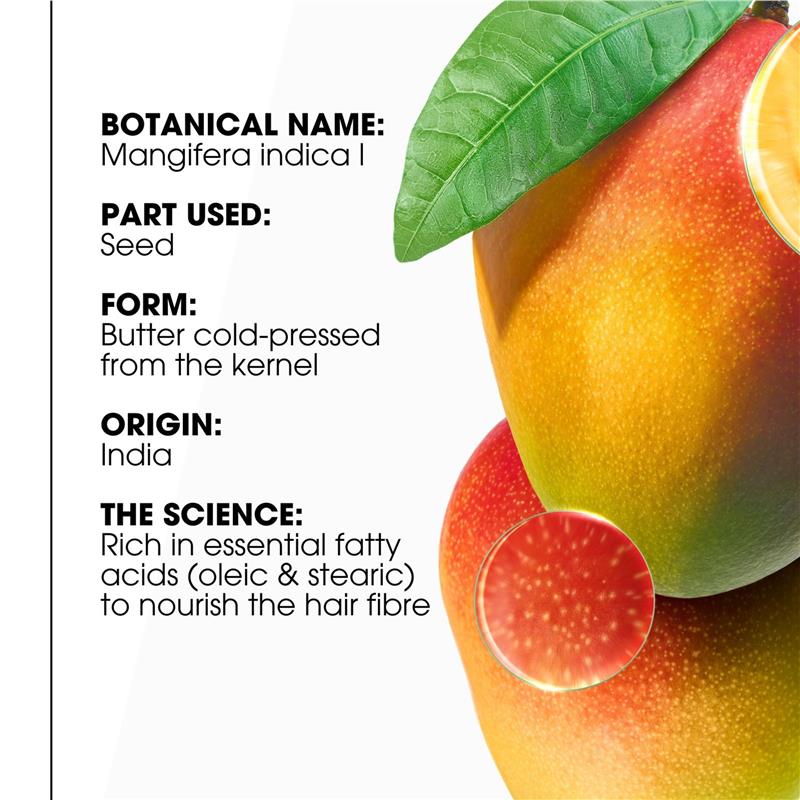 Klorane Nourishing Mango Conditioner 200ml – Dry Hair