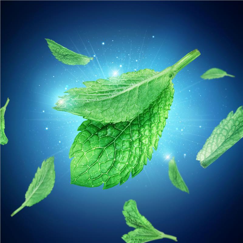 Oral B Floss Picks Glide Cool Mint 30 Pack
