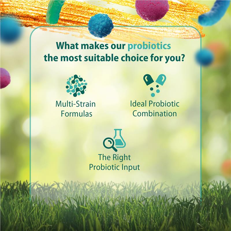 Carusos Probiotic - IBS Fighter 30 Capsules