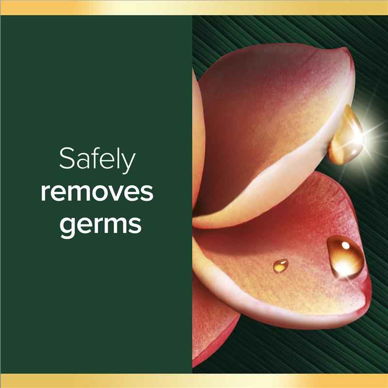 Palmolive Luminous Oils Hand Wash Refill Frangipani & Coconut 1L