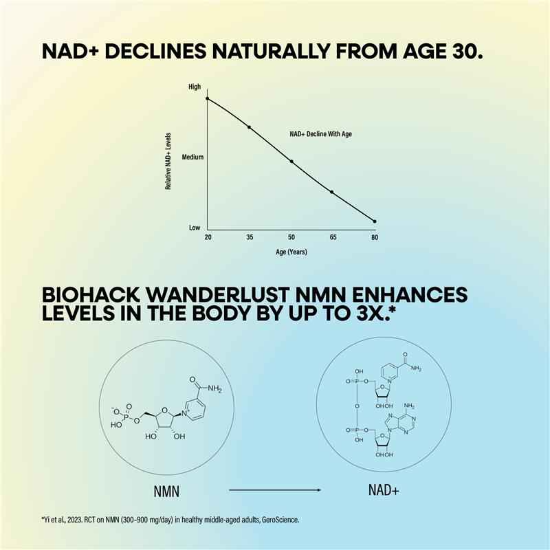 BioHack Wanderlust NMN + Glycine Powder 90g