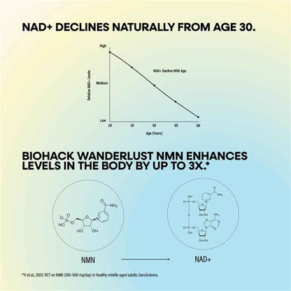 BioHack Wanderlust NMN + Glycine Powder 90g