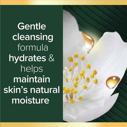 Palmolive Luminous Oils Body Wash Rosewood & Jasmine 750ml