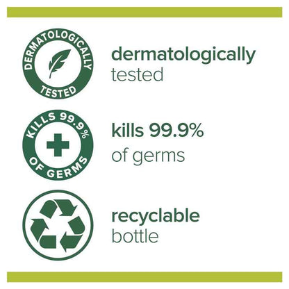 Palmolive Antibacterial Foaming Hand Wash Mint & Eucalyptus 250ml