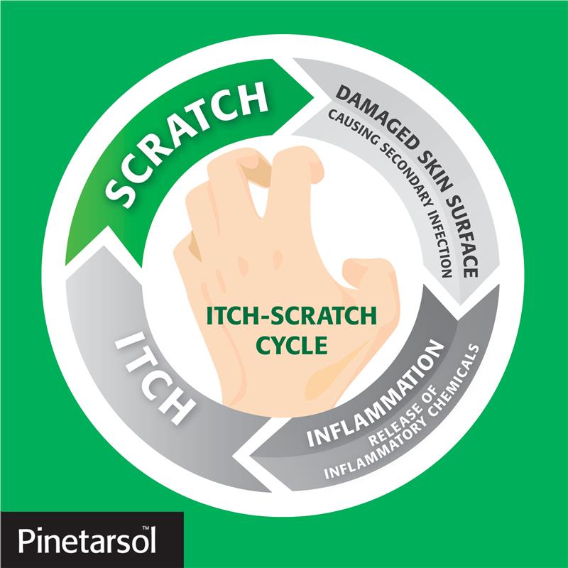 Pinetarsol Bar 100G