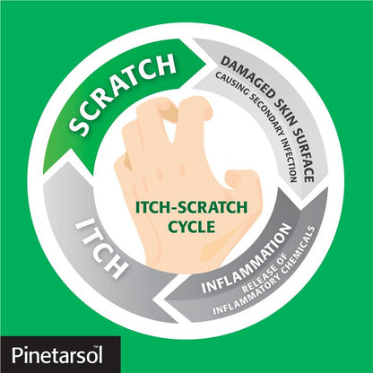 Pinetarsol Bar 100G