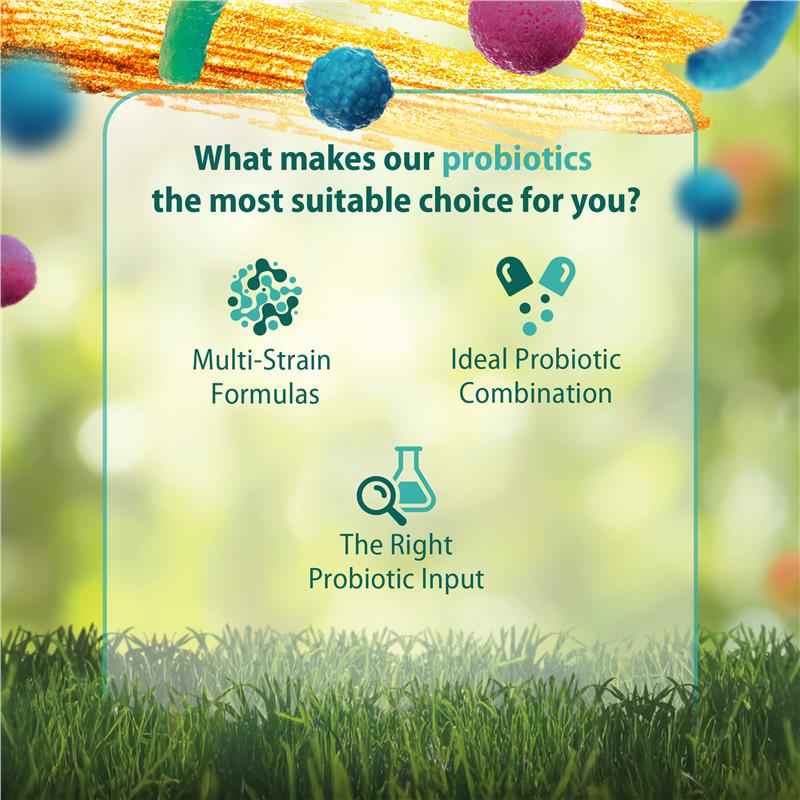 Carusos Probiotic - IBS Fighter 30 Capsules