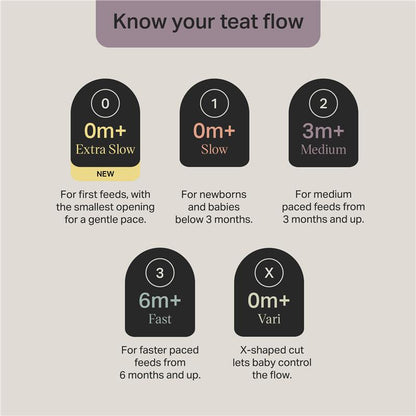 Tommee Tippee Natural Start Fast Flow Teats 2 Pack
