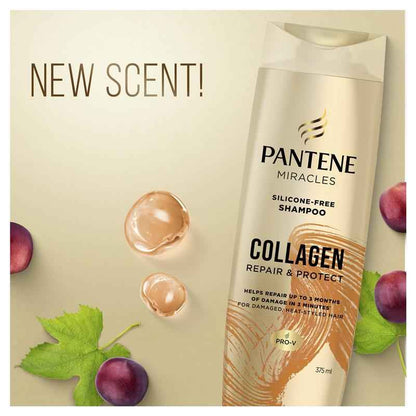 Pantene Miracles Collagen Repair & Protect Shampoo 375ml