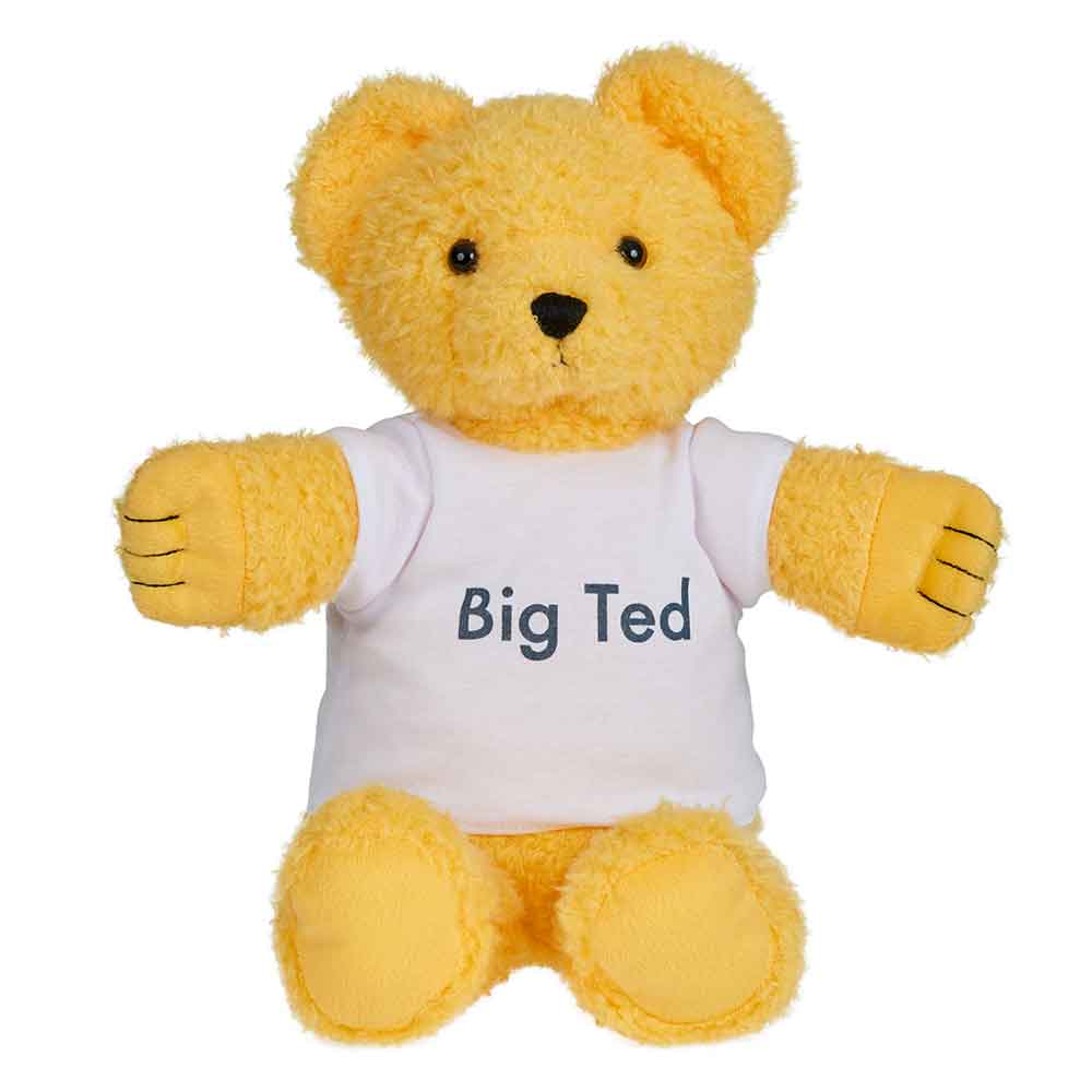 Play School Big Ted Baby Plush Toys Baby Gifts Idea 30cm Clearance 0m+