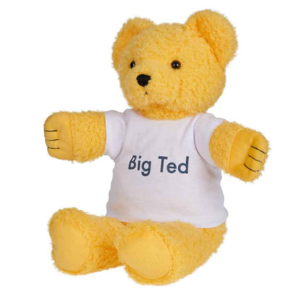 Play School Big Ted Baby Plush Toys Baby Gifts Idea 30cm Clearance 0m+