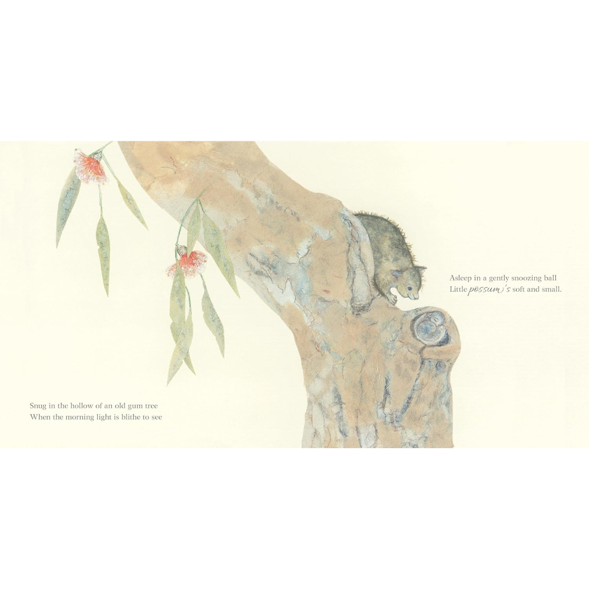 Australian Lullaby Treasury (Hardcover) by Sally Odgers Kids Picture Book Australian Book