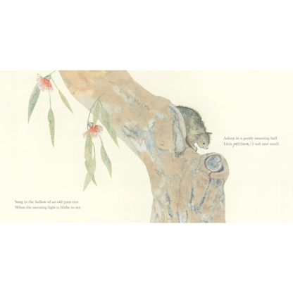 Australian Lullaby Treasury (Hardcover) by Sally Odgers Kids Picture Book Australian Book