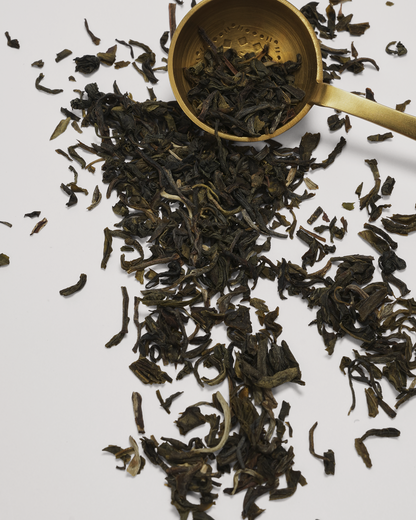 China Jasmine Loose Leaf