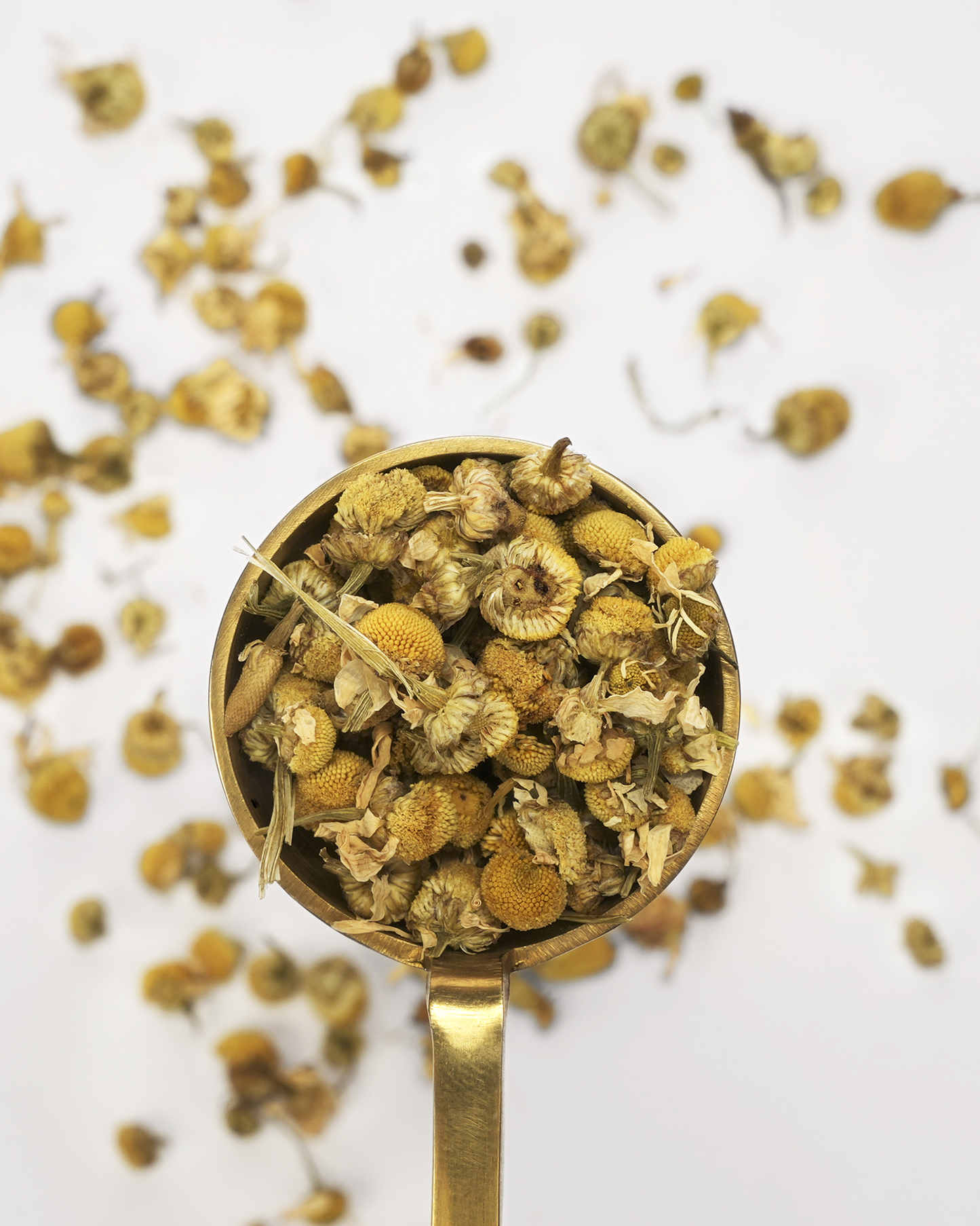 Just Chamomile Loose Leaf