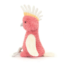 Jellycat Squawkatoo 25cm
