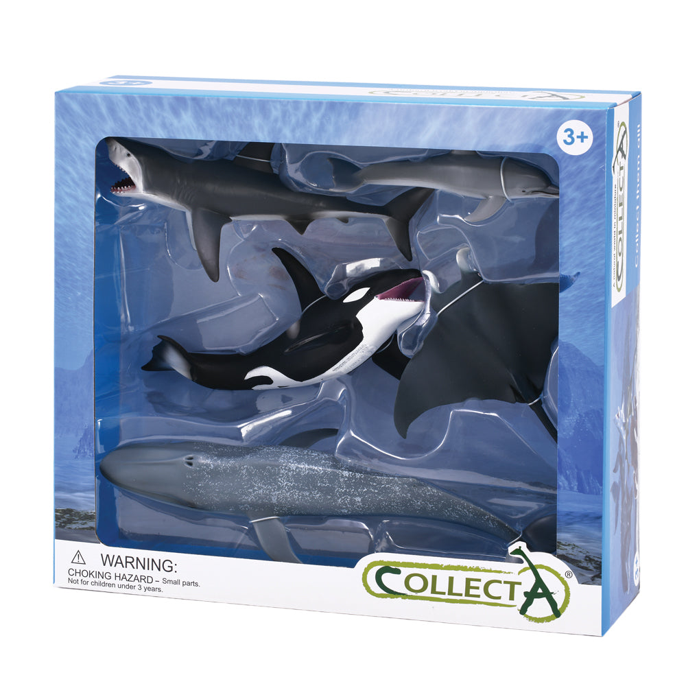 Sea Life Figurine Collection 5pc Gift Box Set by CollectA Animal Figurines 3yrs+
