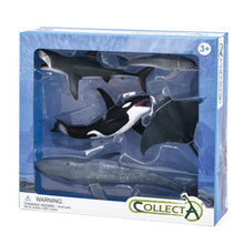 Sea Life Figurine Collection 5pc Gift Box Set by CollectA Animal Figurines 3yrs+