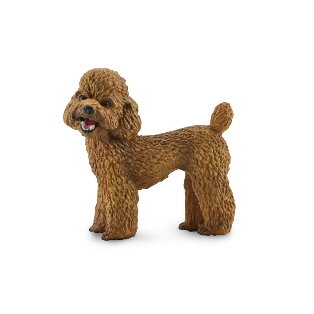 Poodle Figurine by CollectA Medium Cats & Dogs Collection Animal Figurines Clearance 3yrs+