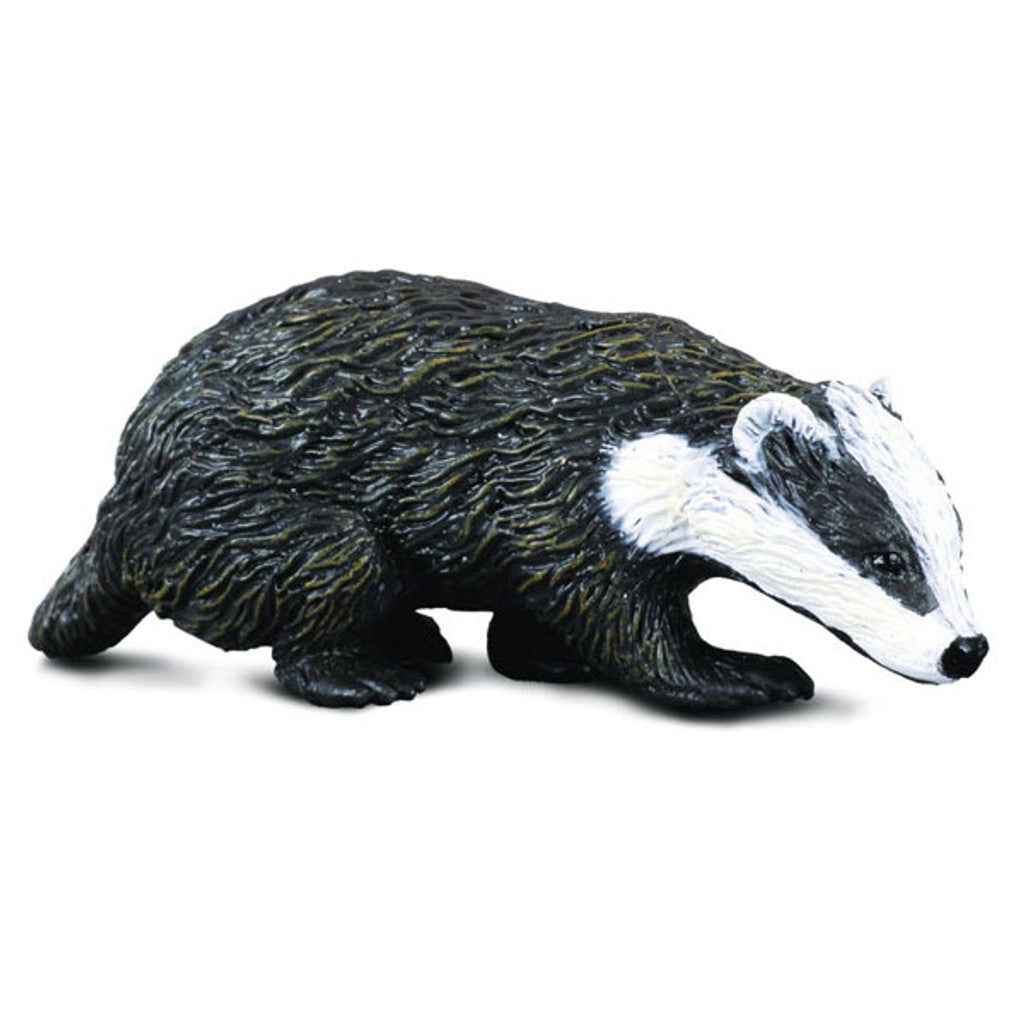 Eurasian Badger Figurine by CollectA Small European Wild Life Collection Animal Figurines Clearance 3yrs+