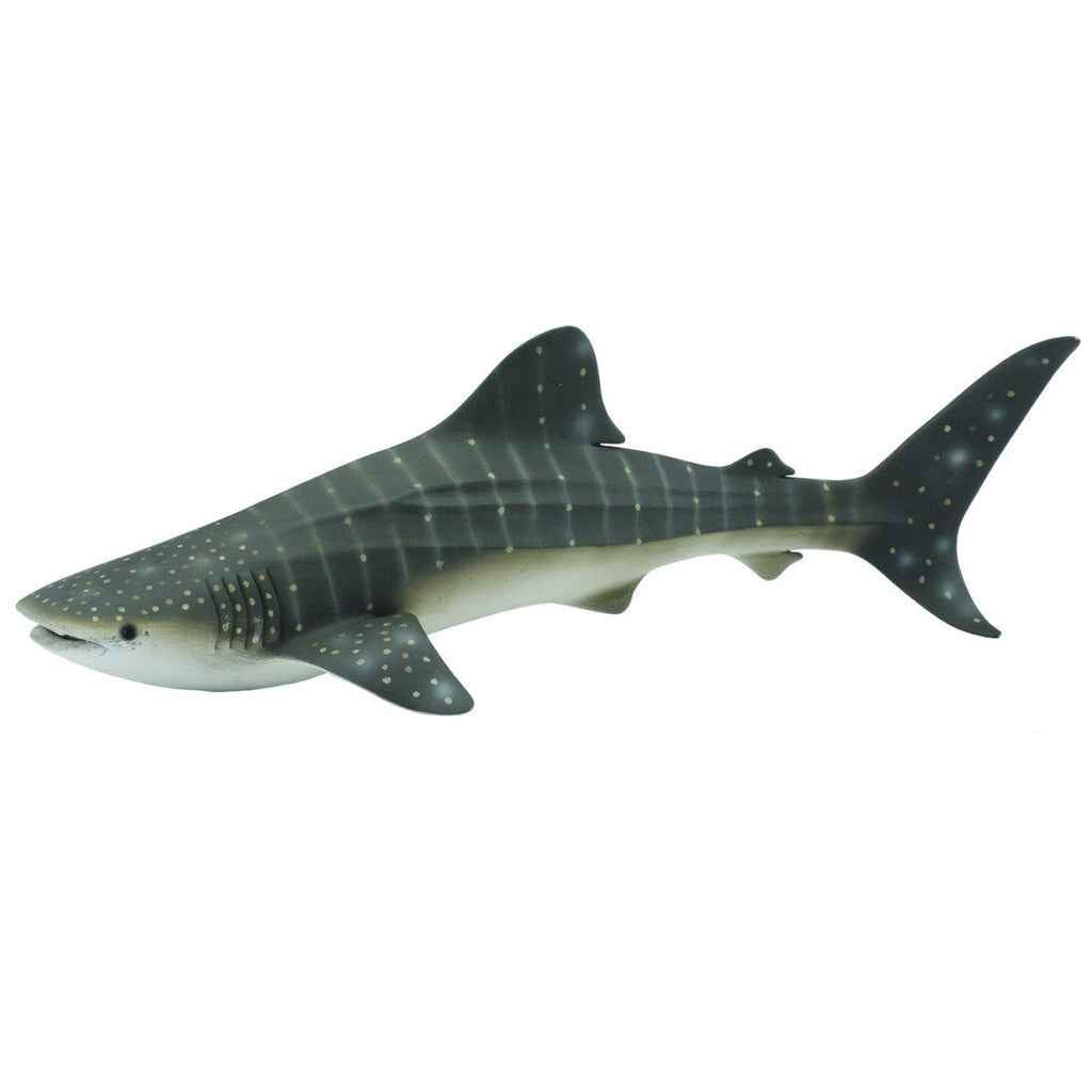Whale Shark Figurine by CollectA Large Sea Life Collection Animal Figurines 3yrs+