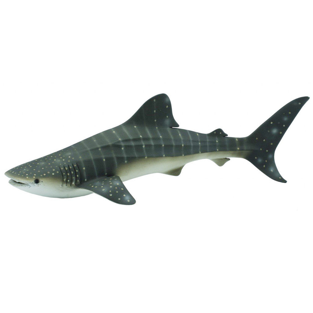 Whale Shark Figurine by CollectA Large Sea Life Collection Animal Figurines 3yrs+